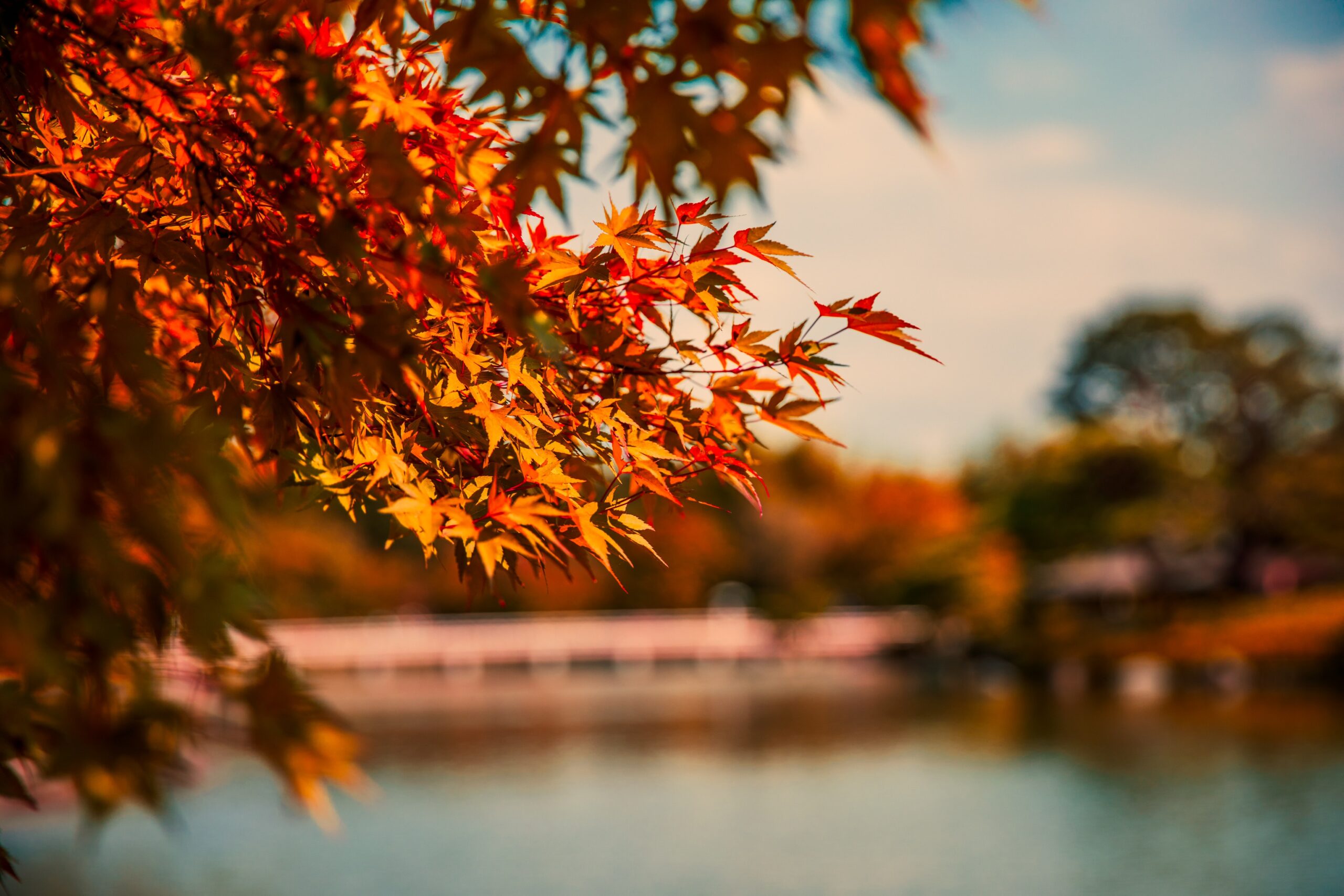 5 luoghi che devi assolutamente vedere in Autunno in Riviera