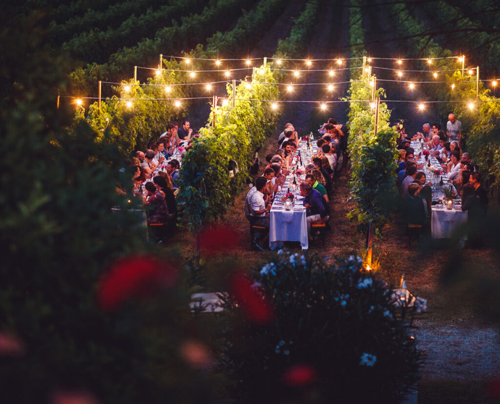 cignano-cena-vigna-brindisi