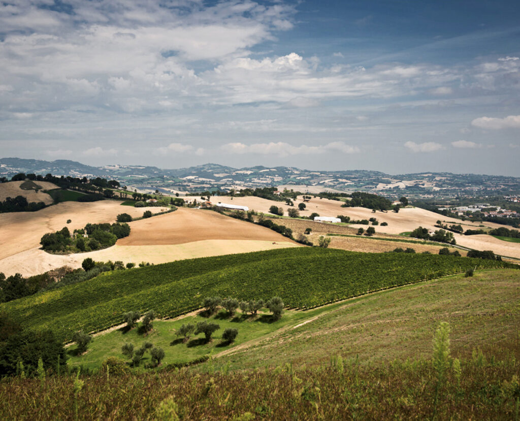 terre-cignano