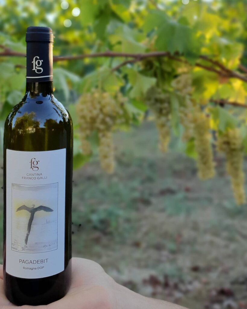 bottiglia-vino-mano-franco-galli