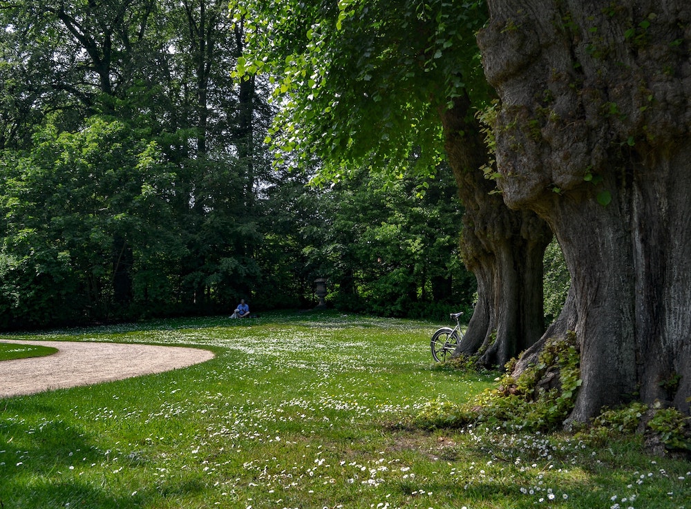 asporto a riccione parco resistenza